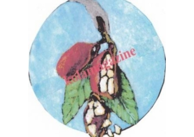 Lectures Logos Readings & Kola Magazine